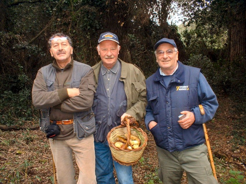 Escursione tra pino e leccio